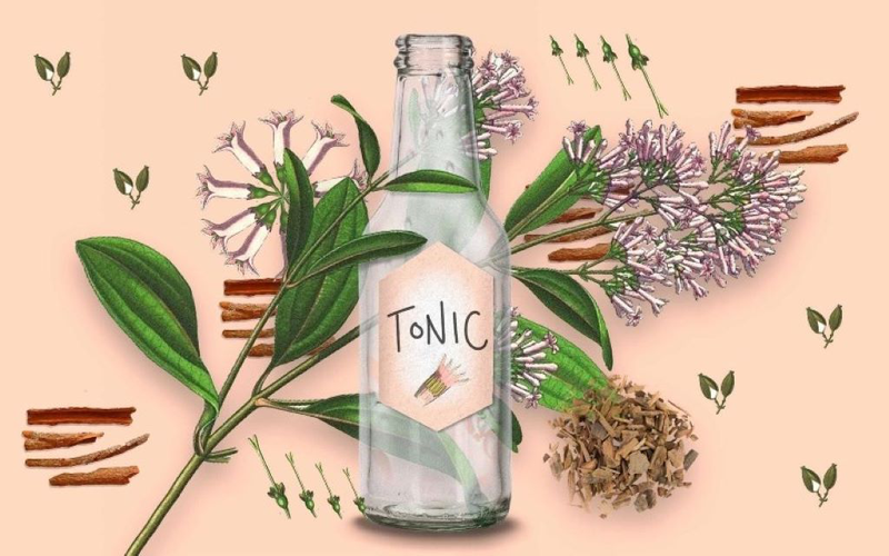 Nước tonic là gì? Công dụng của nước tonic đối với sức khỏe?