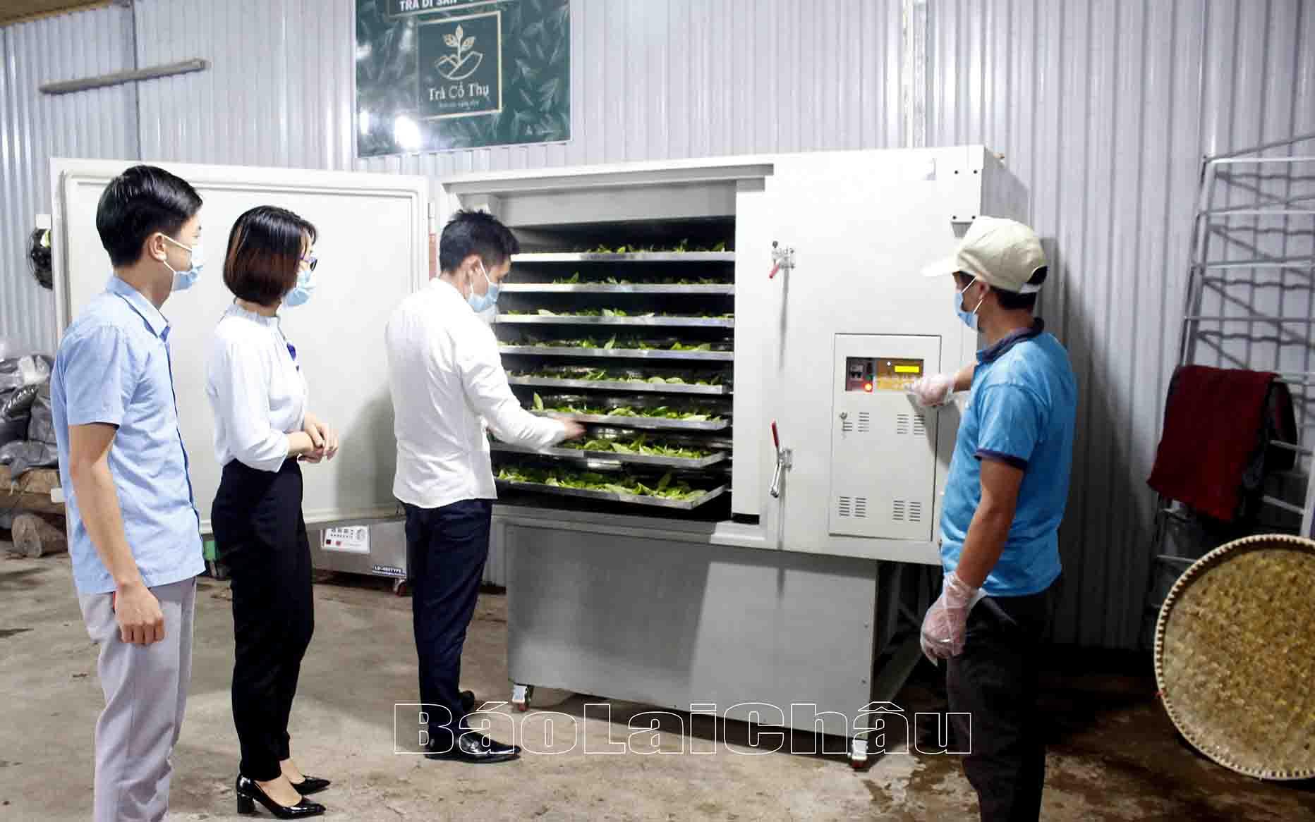 Tăng trưởng kinh tế, chuyển dịch cơ cấu kinh tế phù hợp với nền kinh tế thị trường theo định hướng Xã hội chủ nghĩa | Báo Lai Châu điện tử