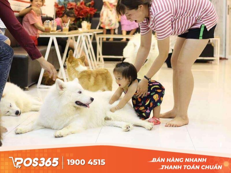 Top 5 quán cafe cho thú cưng vào siêu thân thiện, cute tại Hà nội