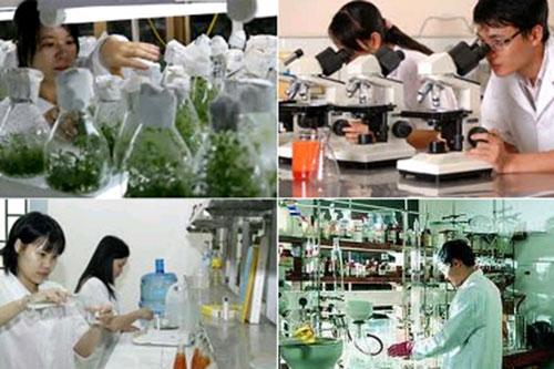 Phát triển và ứng dụng công nghệ sinh học trong tình hình mới