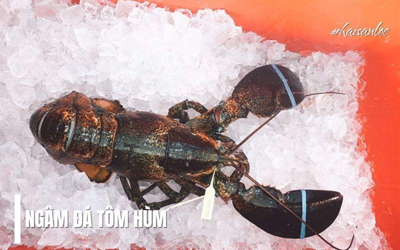 Cách làm sạch tôm hùm nhanh chóng, đơn giản tại nhà