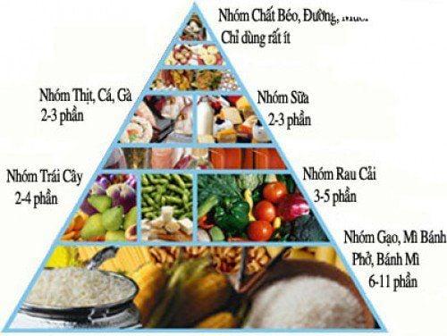 Thế nào là tháp dinh dưỡng cân đối, hợp lý?