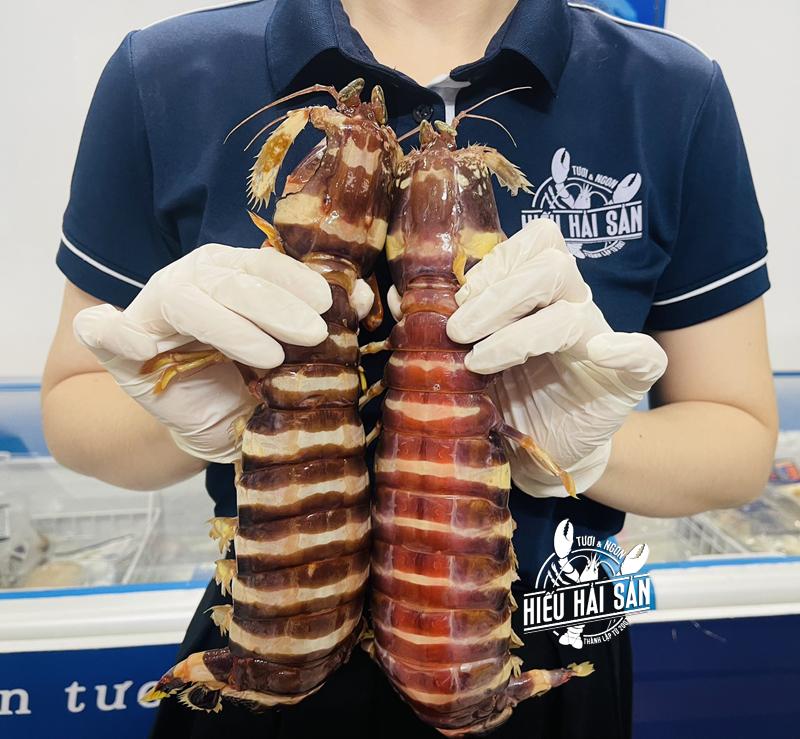 Giá bán: 1,890,000 đ