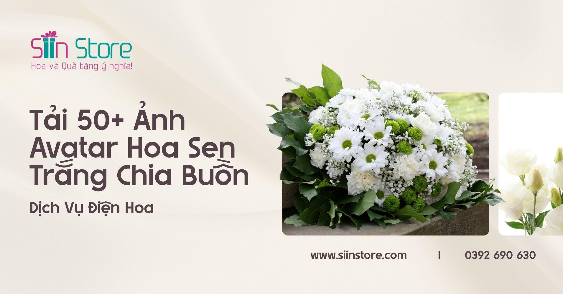 Tải 50+ Ảnh Avatar Chia Buồn Hoa Sen Trắng Đám Tang & Dịch Vụ Điện Hoa - Siin Store | Hoa và Quà tặng ý nghĩa!