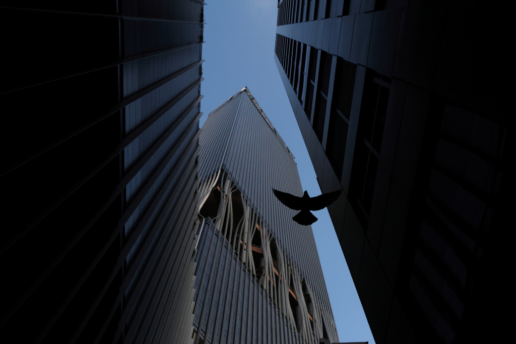 Tìm những nội dung bạn muốn