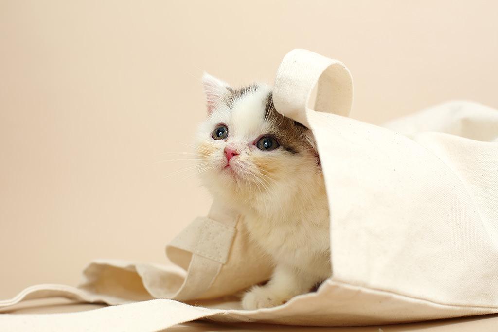 Tìm những nội dung bạn muốn