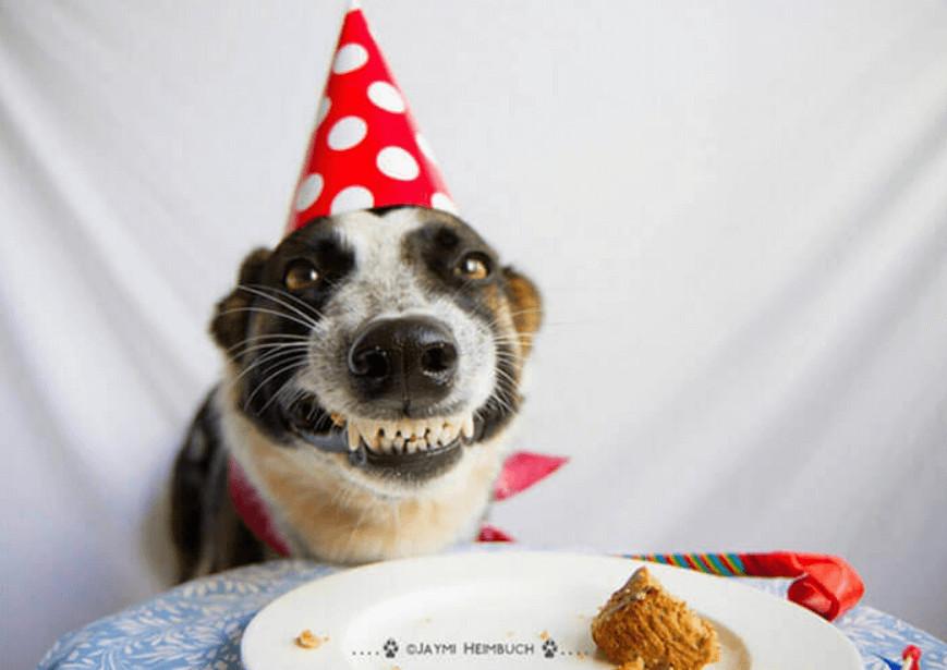 Cười Thả Ga Với Ảnh Sinh Nhật Chế Hài Độc Đáo