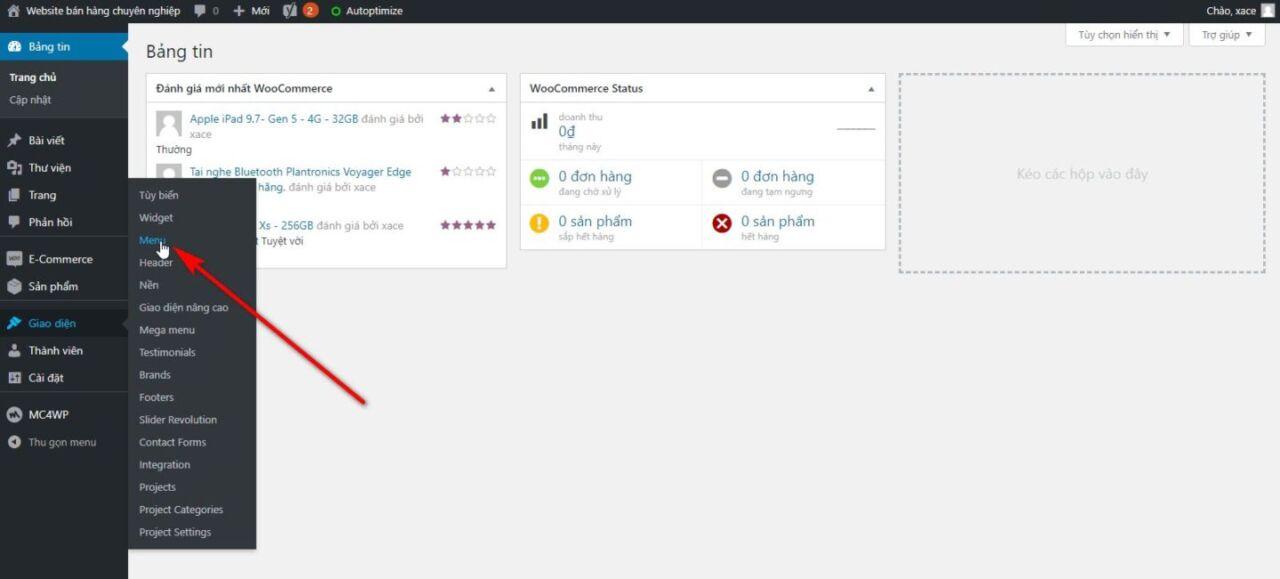 Hướng dẫn gắn icon cho menu chính và menu danh mục