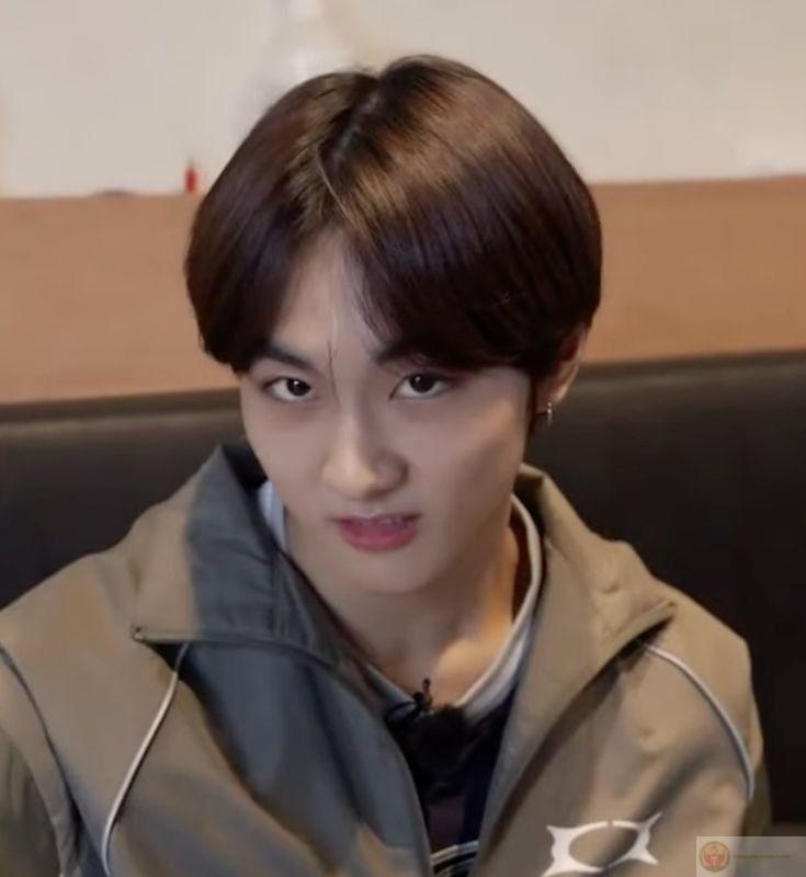 Meme lườm: 95+ ảnh Pam, mèo, chó lườm cực hài