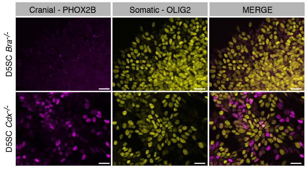 December in preprints