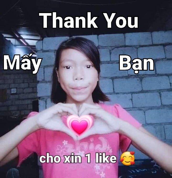 Tổng Hợp 60+ Ảnh Cảm Ơn Meme Siêu Bựa Và Hài Hước Nhất