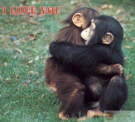 Bộ ảnh meme an ủi thương thương động viên người khác