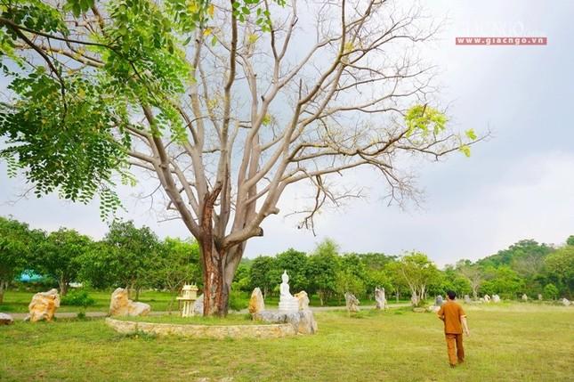 "Quay về nương tựa" ngôi làng "Hiểu và Thương"