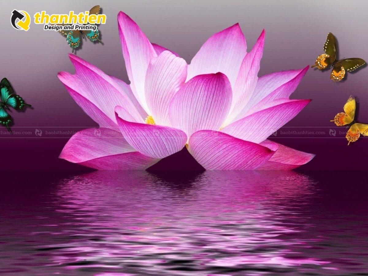 Tải Miễn Phí Background Hoa Sen Vector Đẹp Sắc Nét